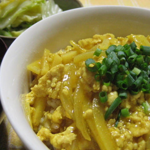 ＊鶏そぼろカレー丼