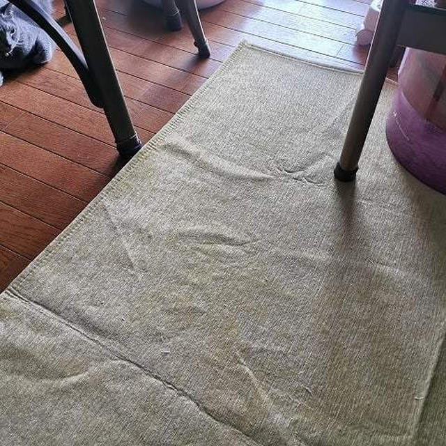 さくらからの報告