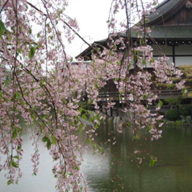 京都旅行☆