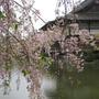 京都旅行☆
