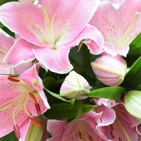 【岐阜クッキングアンバサダー】岐阜県さんから豪華なひるがの高原のユリの花束を頂きました！感激♡