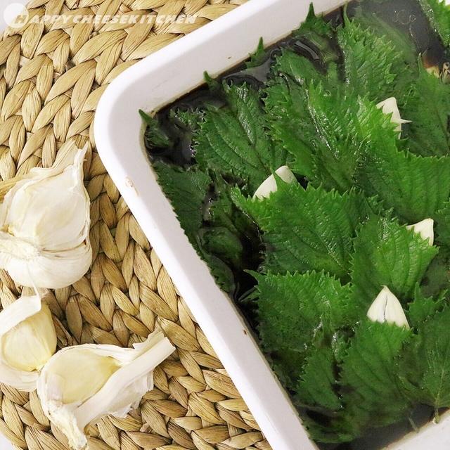 合法ハーブshiso〜夏バテは今頃やってくる！