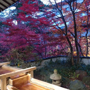 紅葉の信州＆草津温泉旅行・・・１日目（11/14）♪