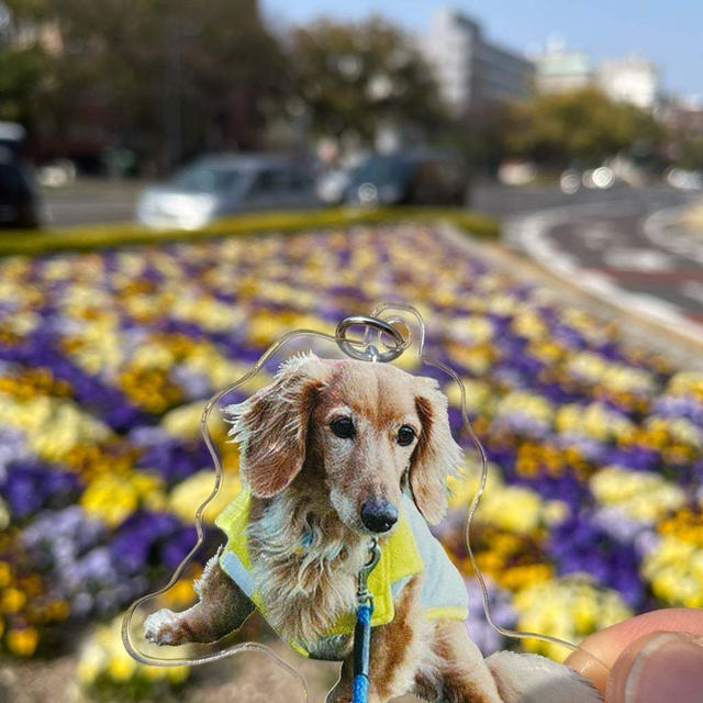 広島旅行２　平和公園