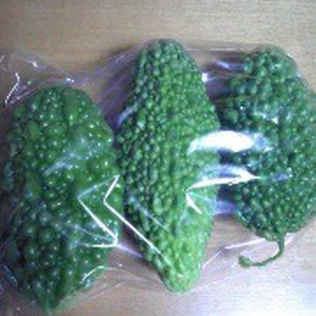 まるでモリゾー♪