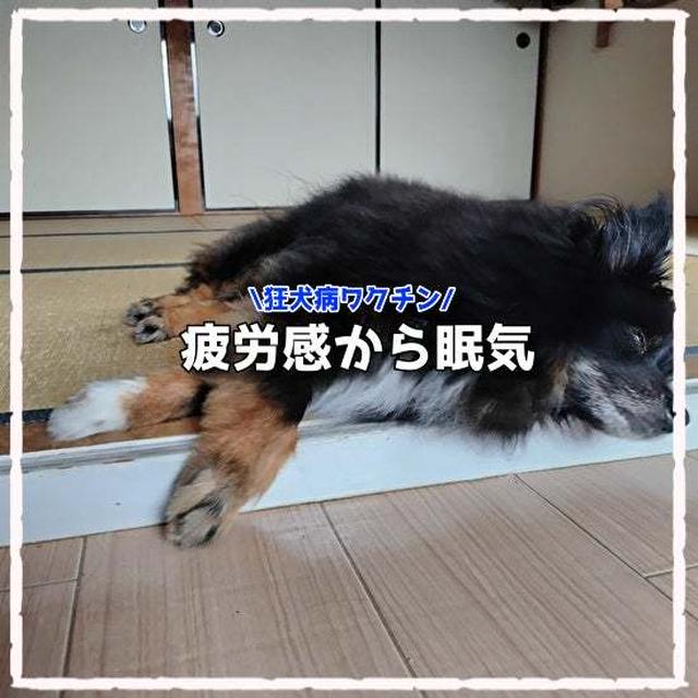 恵みの雨なのかな？