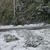 また雪でした…(>_<)