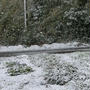 また雪でした…(>_<)
