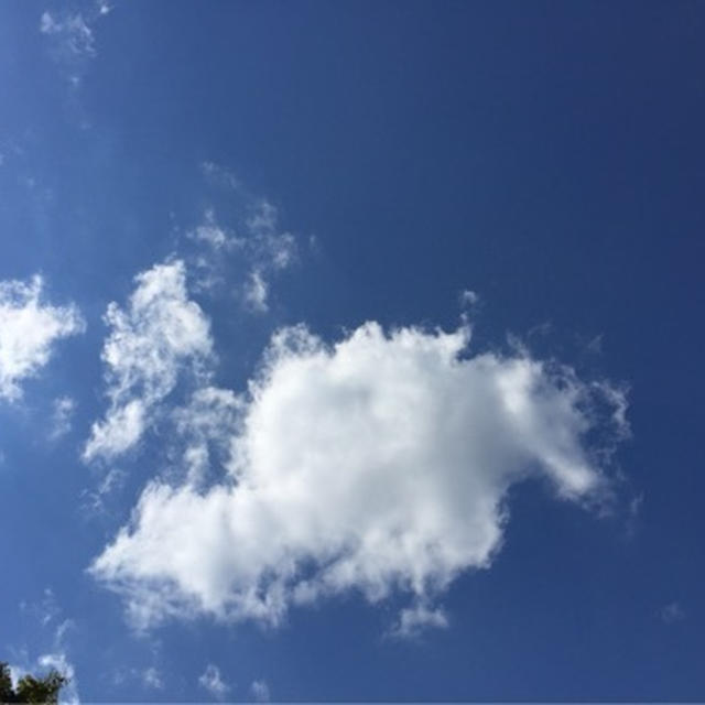 やってしまった‼️