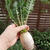 畑いらずのお野菜たち-大根を使ったお料理-