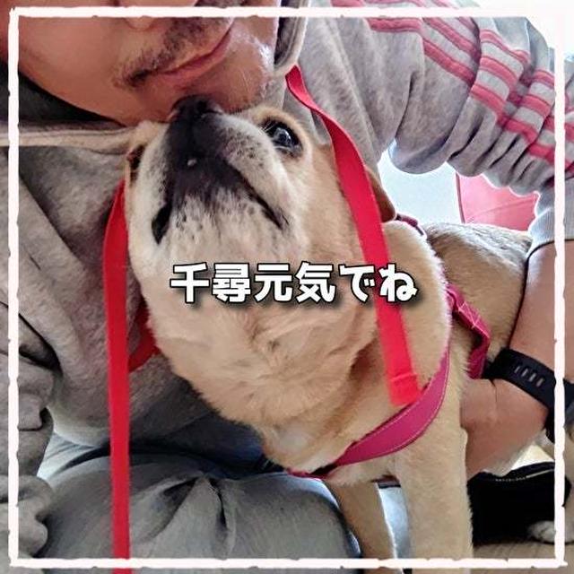 良心の呵責