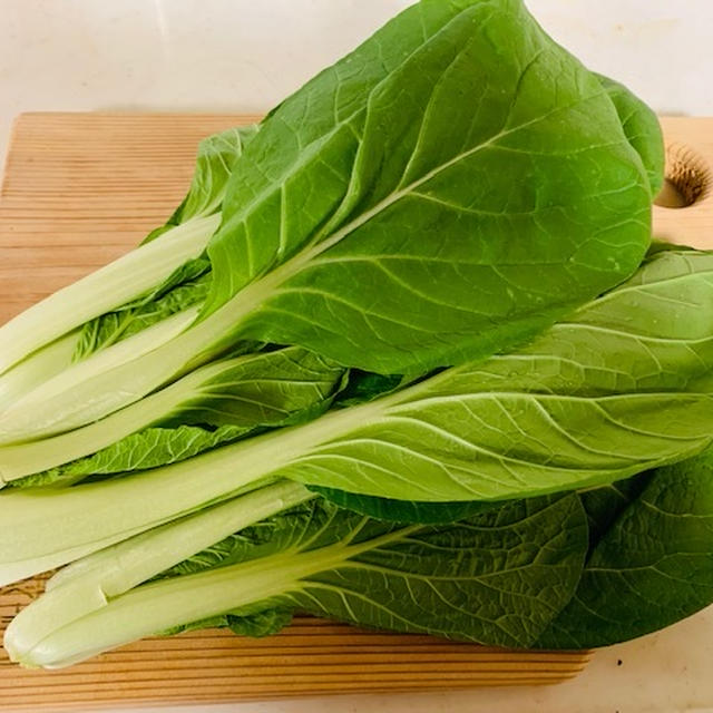 しろ菜　/　お料理３品　/　砂ずり銀皮