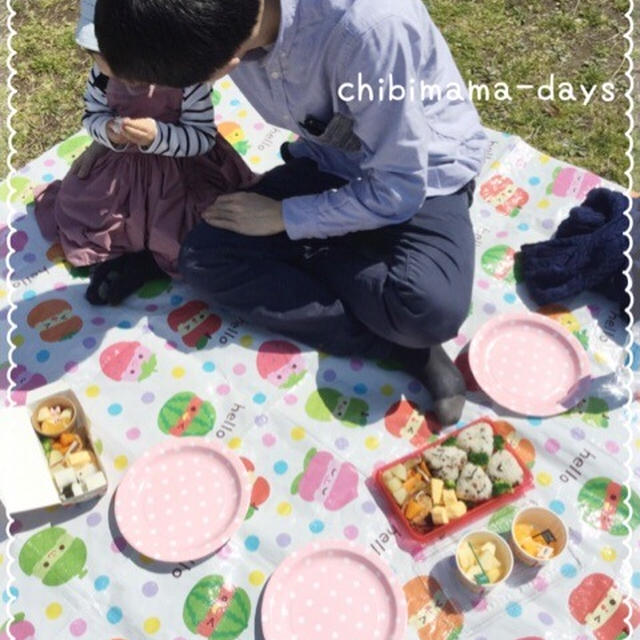 万博でピクニック セリアの可愛いお弁当箱 By ちびママdaysさん レシピブログ 料理ブログのレシピ満載