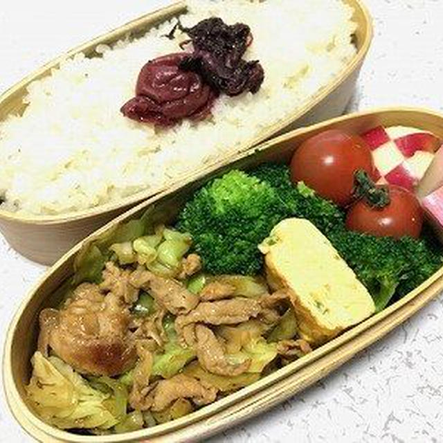 豚肉とキャベツ炒め弁当