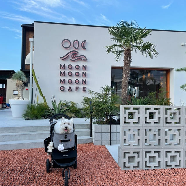 moon moon moon cafe