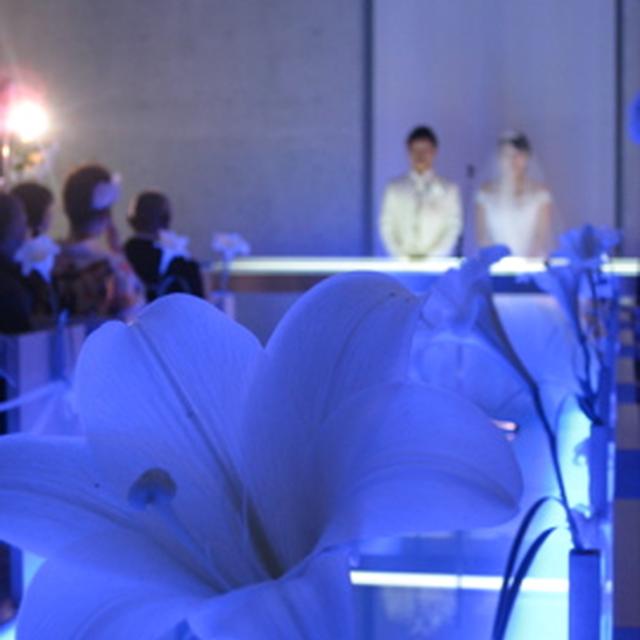 よっちゃんの結婚式☆