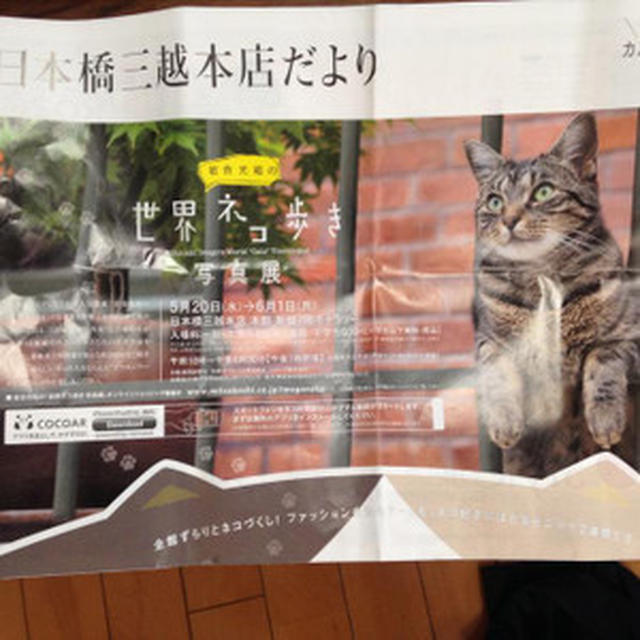 ネコ展