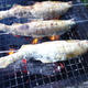 鮎の塩焼き☆ＢＢＱで美味しさ倍増