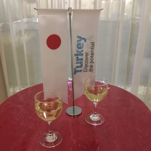 【　トルコ大使館のレセプションへ！　】