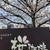 桜モーニング