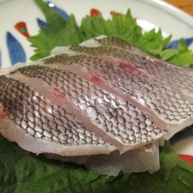 【旨魚料理】ウメイロの湯霜刺身
