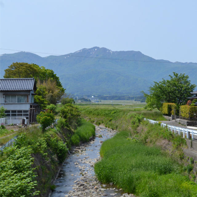田植え編 「朱鷺と暮らす郷」トキと共に生きる・育てる・つなぐ。