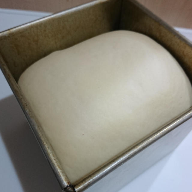 ＊レーズン酵母で食パン＊