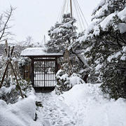 雪の日に裏千家様のお茶事・・・懐石お支度させていただきました！