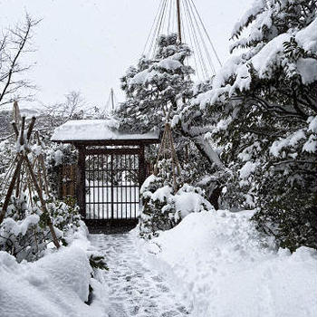 雪の日に裏千家様のお茶事・・・懐石お支度させていただきました！