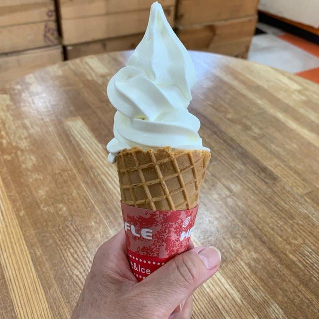 暑い日に瓢湖でヤスダソフトクリームをいただく♡