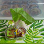 Happy Easter!(=^・・^=)♪