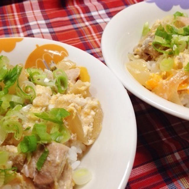 とろ〜り卵の親子丼