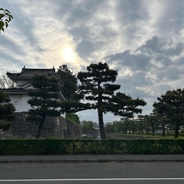 朝からびっくり