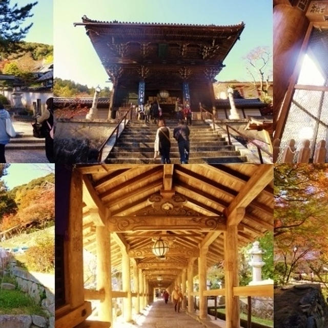 奈良の長谷寺まで紅葉を見にお出かけ♪