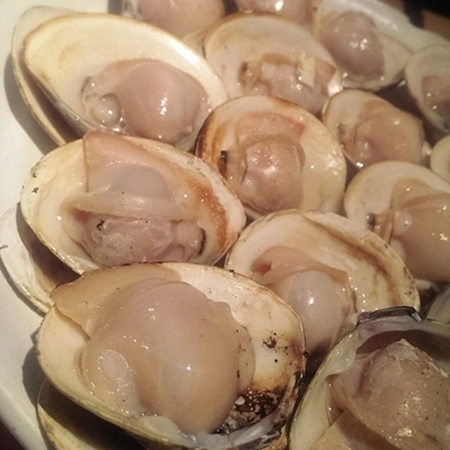 わんこハマグリ