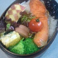 鮭弁当