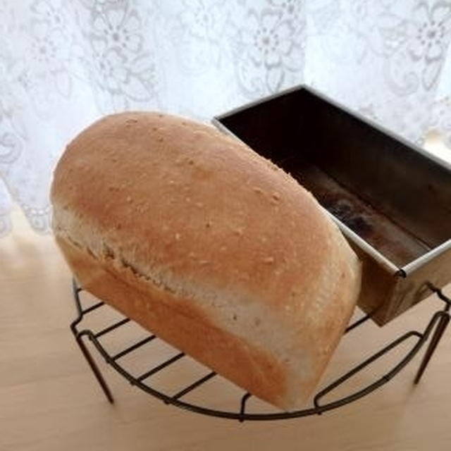 白ごまミニ食パン♪