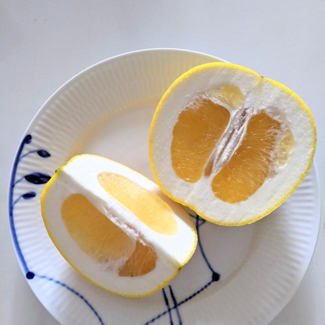香りも爽やか！柑橘系フルーツ