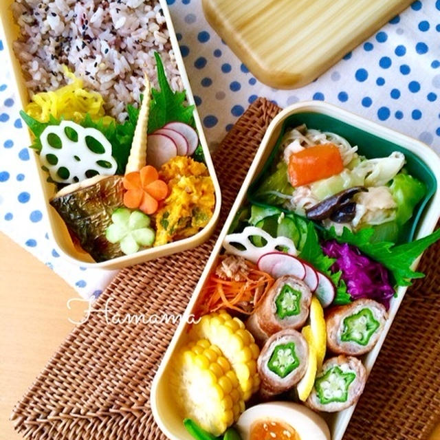 主人のお弁当