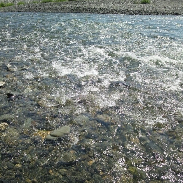 多摩川にて砂金探し!!