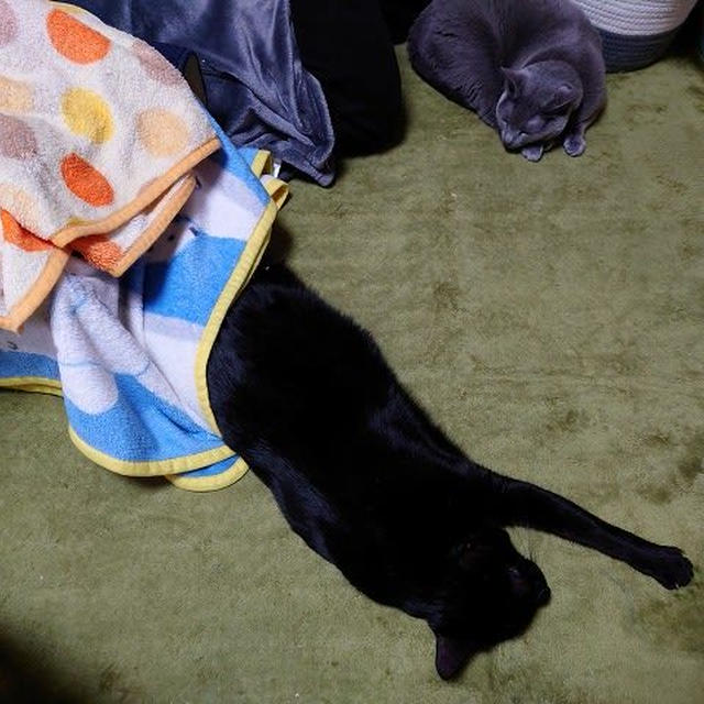 日常が有難いことと実感する