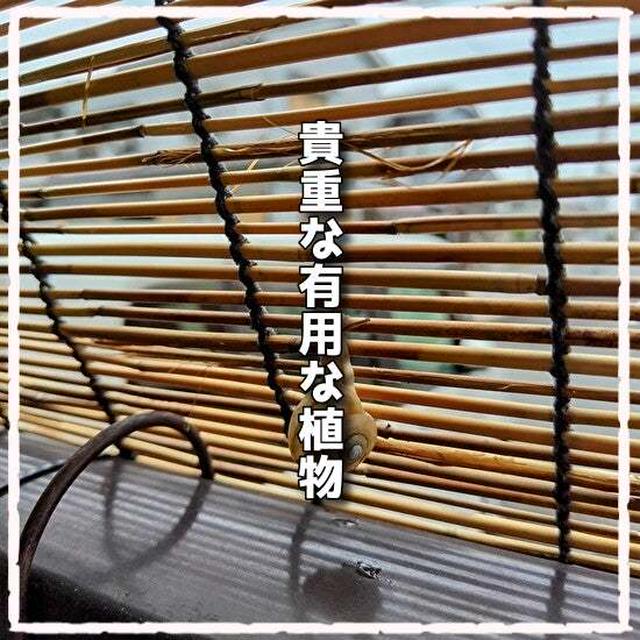 次から次に！