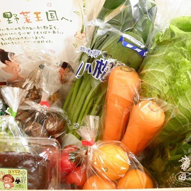 安心・おいしいお野菜の宅配便『九州野菜王国』♪