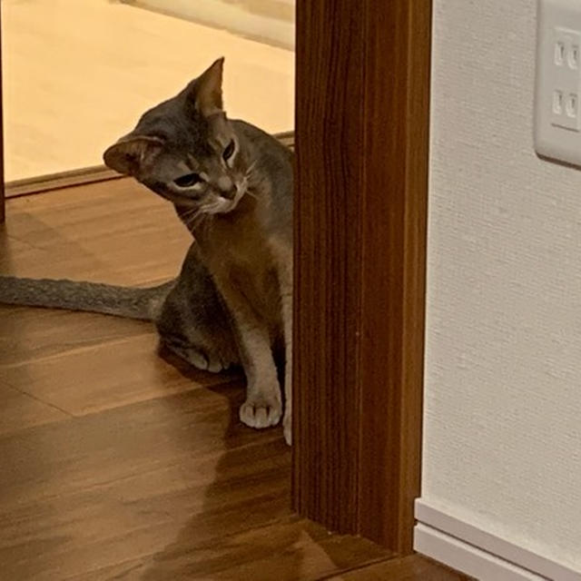 いつでもハッスルちゃんと、独り占めじゃないと遊べないオトコ