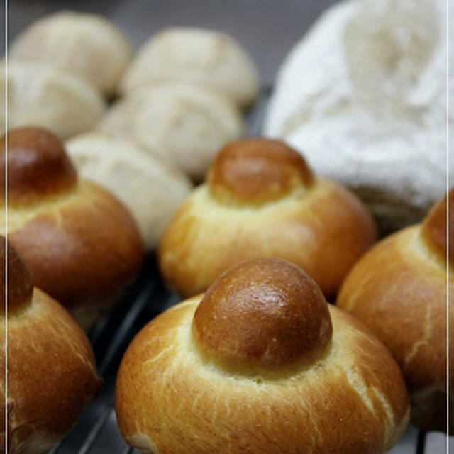ル・コルドンブルーbaking and Pastry/ブリオッシュ、ライ麦パン