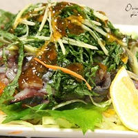 鯵で　のっけ盛り