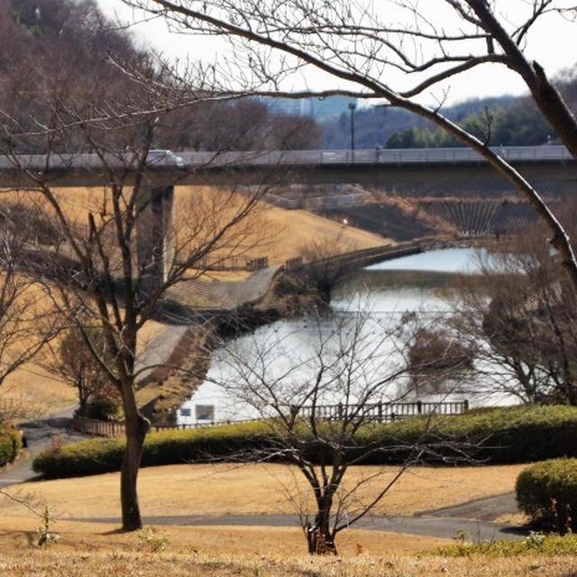 ■ウォーキング続【厚木森の里　若宮公園の風景】