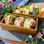 63℃,91℃～95℃ 3種のもちもち おこわ弁当