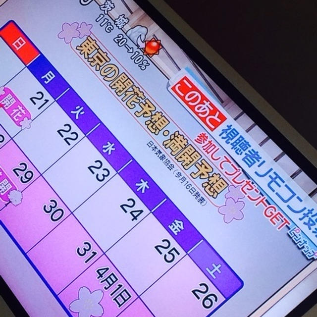東京 桜開花発表