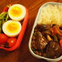 まーぼー茄子のお弁当